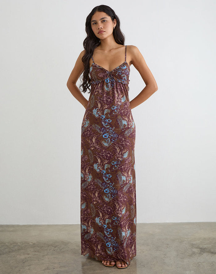 Image of Alnaka Maxi Dress in Feathery Paisley Brown