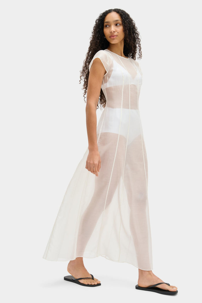 Carly Sheer Maxi Dress