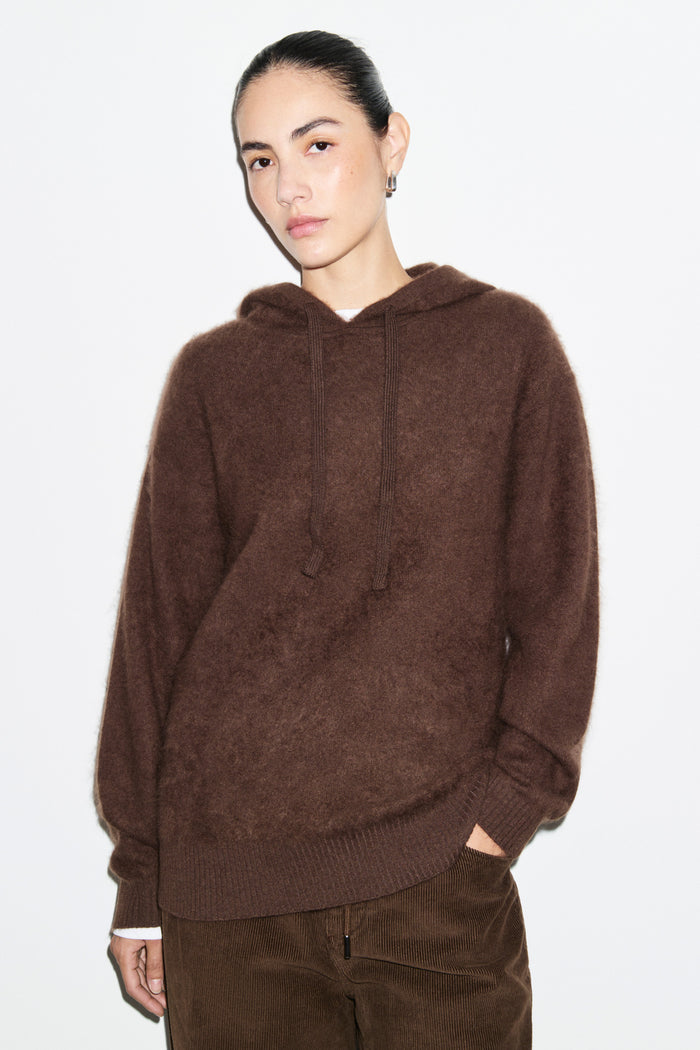 Illaria Brushed Wool Hoodie