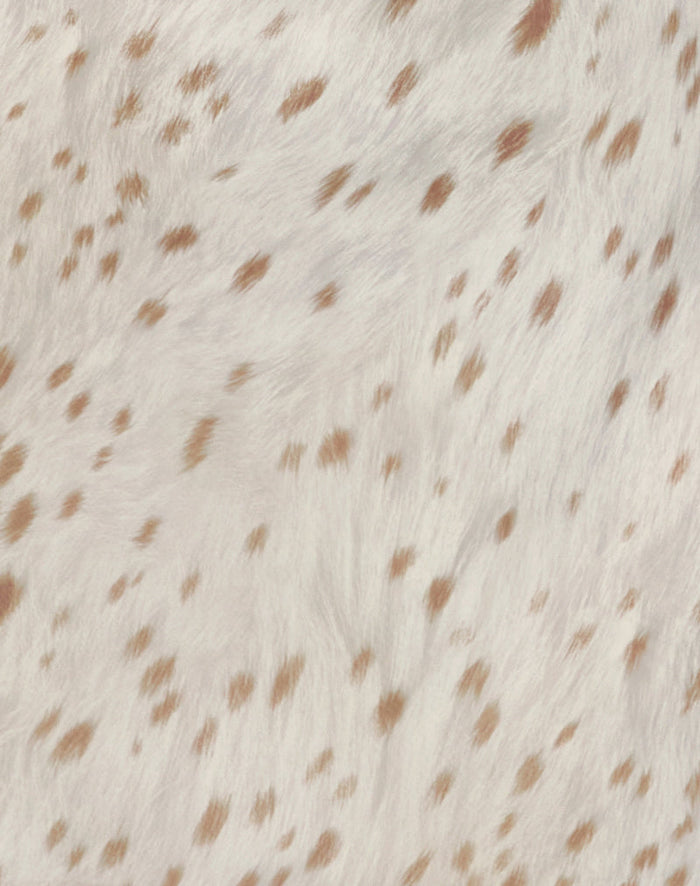 [swatch-hide]