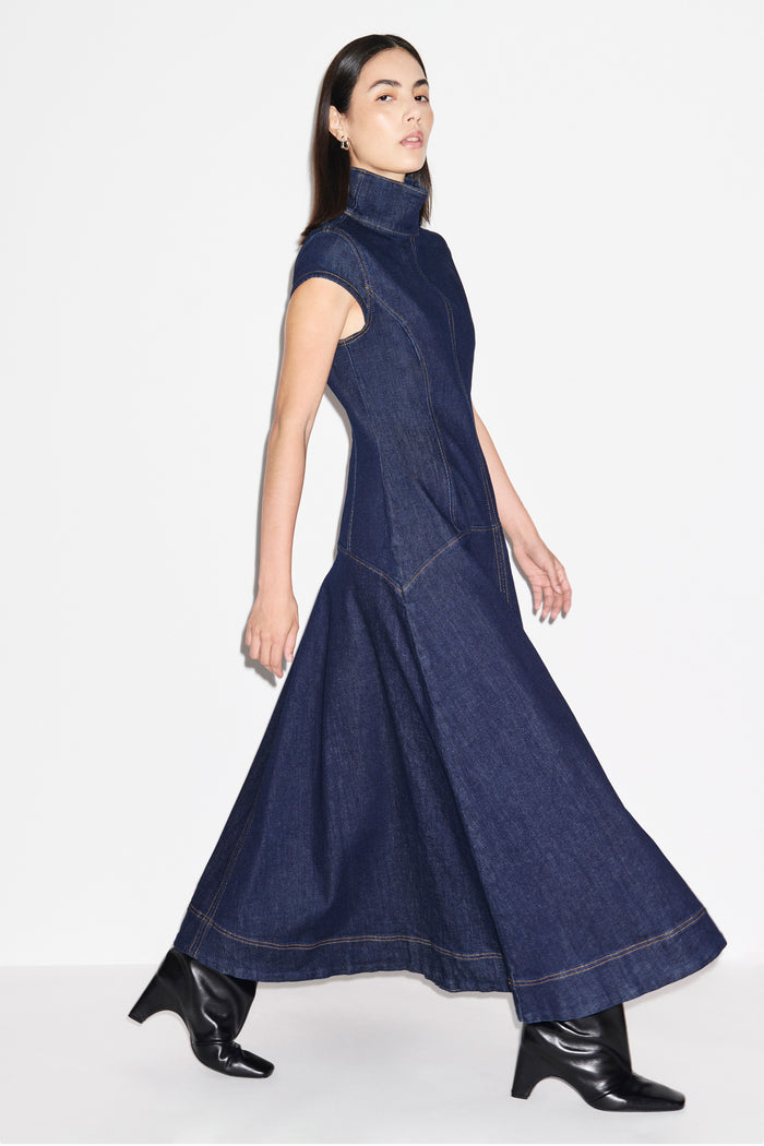 Monroe Denim Maxi Dress